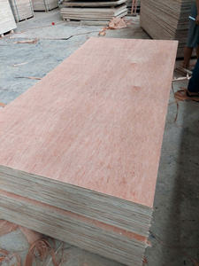 11x915x1830mm Bintangor face contreplaqué commercial fabriqué au Vietnam - Product Image 2