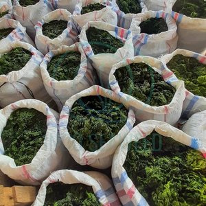 LACTUCA ULVA SECA/ETIQUETA LIMPIA/VEGETAL DE MAR A BASE DE PLANTAS/VERDE NATURAL - Product Image 6