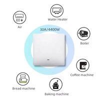 Interruptor Inteligente de 30A con Control Remoto por Aplicación, Compatible con Zigbee, para Calentador de Agua, con Cristal Templado y PC, para Enchufes EU/UK