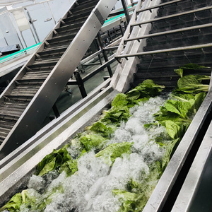 Hot bán dưa hấu làm sạch hệ thống với giá thấp - Product Image 4