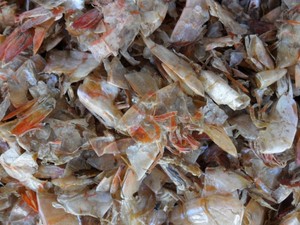 Venta al por mayor de polvo de cáscara de camarón seco de alta calidad-EXPORTADOR DE VIETNAM CON EL PRECIO MÁS BARATO PARA INGREDIENTES DE ALIMENTACIÓN ANIMAL - Product Image 6