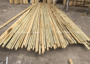 ¡Vendedor superior 2025! Poste de bambú crudo natural/Postes de bambú gratis para construcción Hecho en Vietnam - Product Image 4