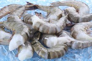 Camarones Tigre Negro Congelados a Granel HLSO, Suministrados para Comercio al por Mayor - Product Image 6