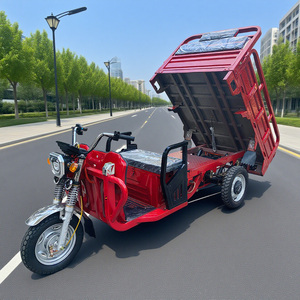 Moto cargo à trois roues à moteur diesel à carrosserie ouverte bon marché 351500W Royaume-Uni - Product Image 3