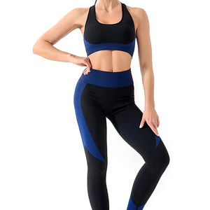 Women Two-Piece Fitness Activewear with Seamless Gym <b>Bra</b> and Pants Women's Yoga Sets - Product Image 1