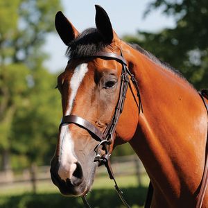 Bride de dressage anatomique de haute qualité pour chevaux Bride en cuir de cheval confortable pour l'entraînement et les compétitions - Product Image 5