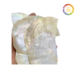 Venta al por mayor de espacios en blanco de concha de nácar natural para esferas de reloj, instrumentos y accesorios - Product Image 3