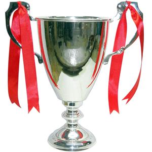 Trophées en aluminium de haute qualité Award Cup Plaques Luxury Sport Cup Indian Handicraft Item Top Selling Unique Design 2025 - Product Image 4