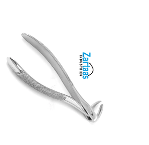 Forceps d'extraction dentaire en acier inoxydable de haute qualité, racines inférieures, exportateurs et fabricants d'instruments dentaires - Product Image 6