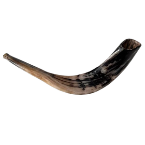 Corne de Shofar décorative 100% naturelle pour la meilleure vente, bonne polie pour la corne de mouton de dessus de table, emballage personnalisé, meilleure vente - Product Image 6