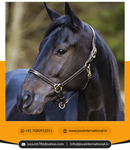 Halter en cuir de produits équestres en gros de haute qualité avec muserolle réglable intelligent - Product Image 3