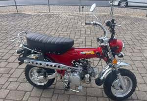 Motocicleta Ice Bears Champion LX en Venta, Minimoto/Pocketbike - Product Image 3