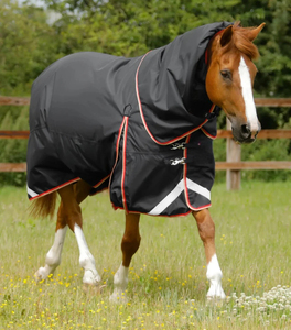 Manta para Caballo Impermeable y Duradera, Transpirable, Diseño Ecuestre Premium Personalizado, Manta de Exterior Personalizada para Caballos - Product Image 4