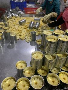 สับปะรดกระป๋อง เวียดนาม สับปะรดพรีเมียมหั่นเป็นชิ้นในน้ำเชื่อม ส่งออกจำนวนมาก โรงงานเชื่อถือได้สำหรับผู้ซื้อทั่วโลก - Product Image 6