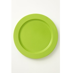 Plaque de chargeur en métal couleur verte mélange parfait d'élégance et de luxe à tout événement ajoute une touche de sophistication aux mariages - Product Image 1