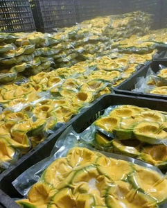 Trozos de Aguacate Congelados de Vietnam con Estándar de Exportación - Product Image 5