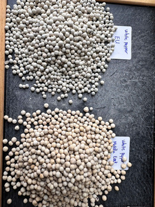 Vietnam Vilaconic Poivre Blanc Haute Densité 630g/l 25kg PP Sac avec Doublure Intérieure Exportation vers L'UE et le Moyen-Orient/ANNA DO VILACONIC - Product Image 6