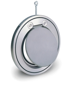 Válvula de Retención de Tipo Wafer Compacta de Hierro SG de 4 Pulgadas, Manual Integral SGI, Orientación de Asiento del Cuerpo PN-1.6, OEM de Alta Calidad, PTFE EPDM - Product Image 1