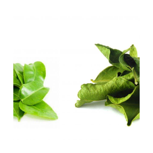 ใบมะนาวแห้งผลิตในเวียดนาม/ใบมะนาวตากแห้งจำนวนมากพร้อมส่ง - Product Image 6