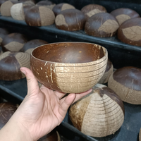 Set Mangkuk dan Sendok dari Kulit Kelapa Alami Buatan Tangan Grosir - Ramah Lingkungan untuk Penggunaan Rumah Tangga, Biodegradable, Buatan Vietnam, Merek Eco2go