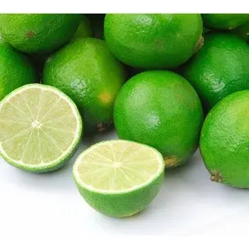 Best Quality For Export By Vietnam Company Fresh Seedless Lime Best Quality For Sale Green Lime