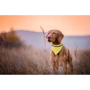 Collare per Animali Domestici Personalizzabile ad Alta Visibilità con Lurex, Prodotto Promozionale - Product Image 2