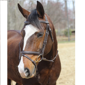 Nuevas bridas de caballo de alta calidad en cuero alemán Brida de caballo de alta calidad Servicios OEM Brida de caballo de cuero - Product Image 4