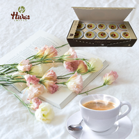 Produit phare : Café en capsules Espresso Spécialité Arabica Torréfaction Intense Arrière-goût Chocolat Café de Haute Qualité Exportation Vietnam