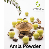 Poudre d'Amla 100% Naturelle de Haute Qualité, Culture Sauvage, Usage Cosmétique, Approvisionnement Direct en Gros, Usine, Bouteille/Fût Privé