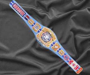 Cinturón de Campeonato de John Cena - Product Image 6