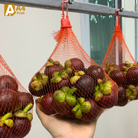 Zoete, sappige, biologische Thaise mangosteen, vers fruit, de koningin der vruchten met tropische smaak, verpakt in Thailand, kwaliteit Khey Taladthai merk.