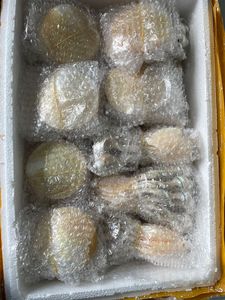 Cuillère en coquillage naturel du Vietnam, faite à la main, en nacre, pour le caviar, le café, les desserts et la vaisselle - Product Image 6