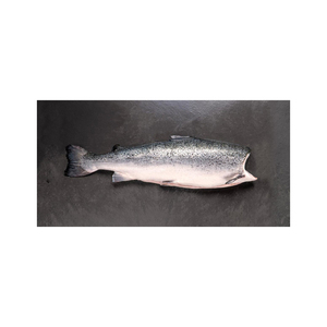 Salmón Entero, Eviscerado y Sin Cabeza, Calidad Restaurante, Rico en Nutrientes Esenciales, Ideal para Amantes de la Gastronomía Marina - Product Image 6