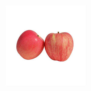 Pomme Fuji rouge fraîche sucrée croustillante organique naturel propre emballé fournisseur d'exportation en vrac fruits de qualité ferme de qualité juteuse de qualité supérieure - Product Image 5