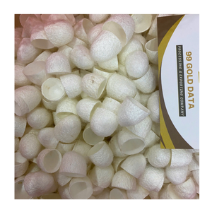 Proveedor de algodón Silk Cocoon para mercados textiles globales - Product Image 1