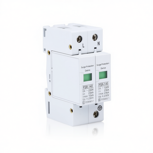Parafoudre monophasé 2 rails DIN Max 10 kA pour protection électrique - Product Image 2
