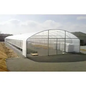 Tunnel de serre agricole à travée unique de conception avancée pour la tomate