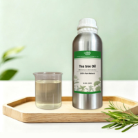 Supplier Pabrik 100% Minyak Pohon Teh Australia Murni Alami Segar Premium (Melaleuca Alternifolia) untuk Pembersihan Kulit & Perawatan Rambut
