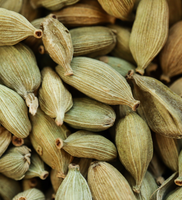 Cardamome verte fraîche de qualité supérieure naturelle, épice Elachi, provenant d'une usine d'Afrique du Sud, pour la vente en gros de cardamome sèche