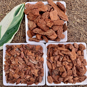 Vente chaude : Écorce de pin pour l'aménagement paysager, couverture du sol, rétention de l'humidité du sol et protection de surface, utilisation au Vietnam - Product Image 3