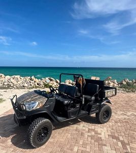 ผู้จัดจำหน่ายรถอเนกประสงค์ขับเคลื่อนสี่ล้อ 4x4 - Product Image 5