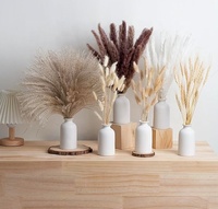 Buket Bunga Kering Alami Eucalyptus Pampas Grass Berkualitas Premium yang Menakjubkan (45-60cm) untuk Natal, Tahun Baru, Hari Ibu