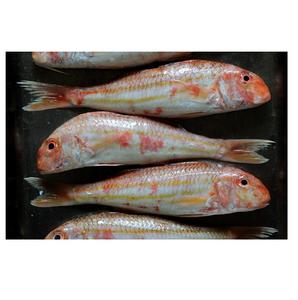 Best Price Frozen Red Mullet <b>Fish</b> (seafood) Available - Product Image 3