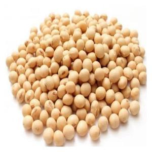 Granos de soja de buena calidad de alta calidad sin OGM Grano de soja crudo en bolsas Semillas de soja orgánicas a granel para alimentos - Product Image 5