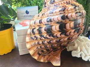 สร้อยข้อมือมิตรภาพลวดลายชาติพันธุ์ที่นำเสนอในปริมาณมากคำสั่งซื้อ - Product Image 2