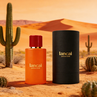 Flacon de parfum givré rechargeable, anti-fuite, pour stockage de parfum 30ml, roll-on pour soins de la peau avec diffuseur à bâtonnets