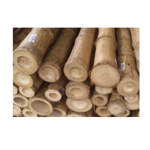 Postes de bambú natural, material recto y duradero de la ciudad natal del bosque, postes de bambú grandes, postes de bambú fumigados tratados - Product Image 3