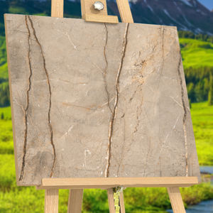 Carreaux de sol en porcelaine émaillée, design très populaire, fabrication en Inde pour salle de bain et maison. - Product Image 1