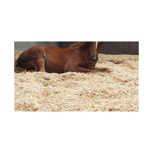 High Quality Pine Wood Shavings Cheap Price <b>Agricultural</b> <b>Waste</b> Pine Sawdust For Sale - Product Image 6
