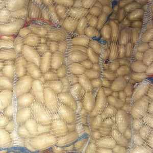 Patatas Frescas Premium 2025 de Nueva Cosecha, Grado Superior, Pulpa Amarilla Brillante, Variedad Holandesa, Shandong China, Forma Alargada, Exportación a Granel - Product Image 1
